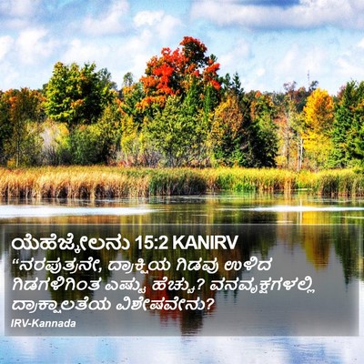 ಯೆಹೆಜ್ಕೇಲನು 15:2 KANIRV Bible Verse Image