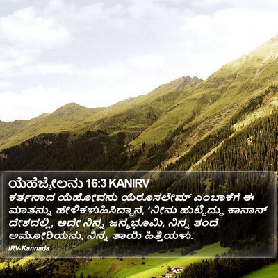ಯೆಹೆಜ್ಕೇಲನು 16:3 KANIRV Bible Verse Image
