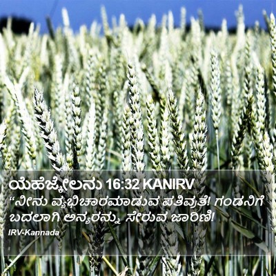 ಯೆಹೆಜ್ಕೇಲನು 16:32 KANIRV Bible Verse Image