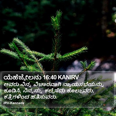 ಯೆಹೆಜ್ಕೇಲನು 16:40 KANIRV Bible Verse Image