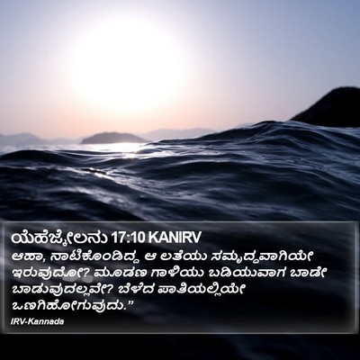 ಯೆಹೆಜ್ಕೇಲನು 17:10 KANIRV Bible Verse Image