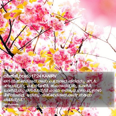 ಯೆಹೆಜ್ಕೇಲನು 17:24 KANIRV Bible Verse Image
