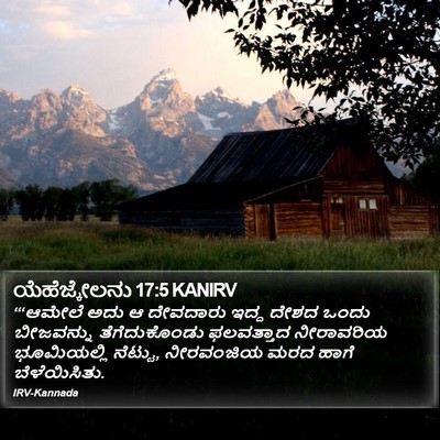 ಯೆಹೆಜ್ಕೇಲನು 17:5 KANIRV Bible Verse Image