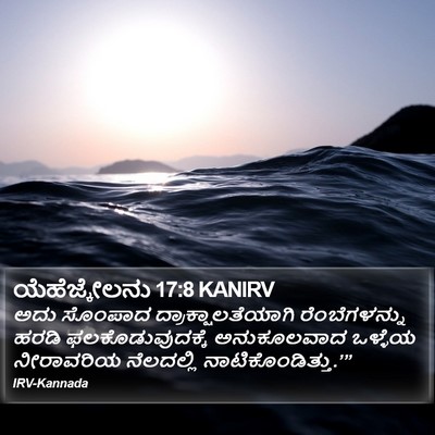 ಯೆಹೆಜ್ಕೇಲನು 17:8 KANIRV Bible Verse Image
