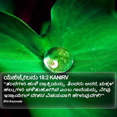 ಯೆಹೆಜ್ಕೇಲನು 18:2 KANIRV Bible Verse Image