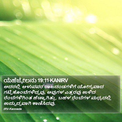 ಯೆಹೆಜ್ಕೇಲನು 19:11 KANIRV Bible Verse Image