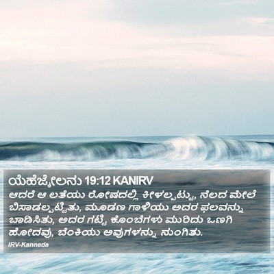 ಯೆಹೆಜ್ಕೇಲನು 19:12 KANIRV Bible Verse Image