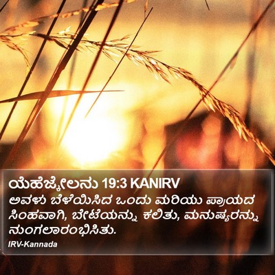 ಯೆಹೆಜ್ಕೇಲನು 19:3 KANIRV Bible Verse Image