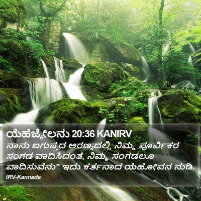 ಯೆಹೆಜ್ಕೇಲನು 20:36 KANIRV Bible Verse Image