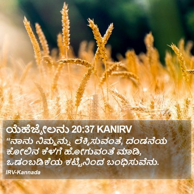 ಯೆಹೆಜ್ಕೇಲನು 20:37 KANIRV Bible Verse Image