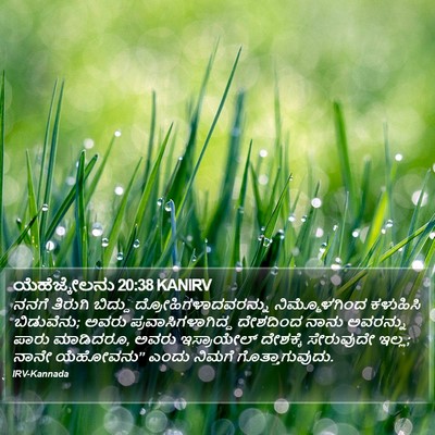 ಯೆಹೆಜ್ಕೇಲನು 20:38 KANIRV Bible Verse Image
