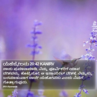ಯೆಹೆಜ್ಕೇಲನು 20:42 KANIRV Bible Verse Image