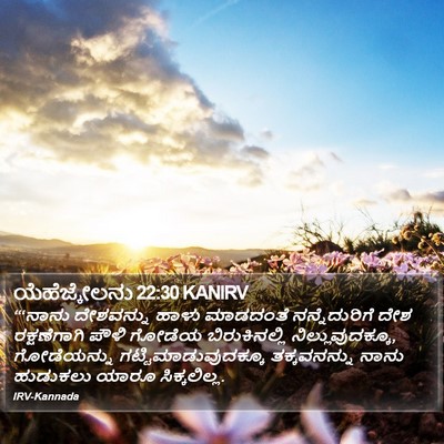 ಯೆಹೆಜ್ಕೇಲನು 22:30 KANIRV Bible Verse Image
