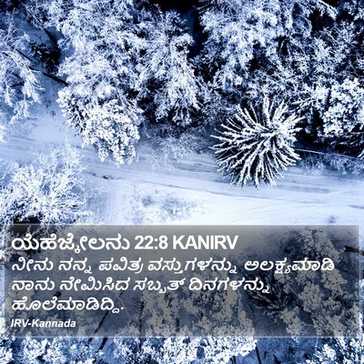 ಯೆಹೆಜ್ಕೇಲನು 22:8 KANIRV Bible Verse Image