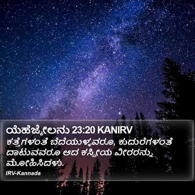 ಯೆಹೆಜ್ಕೇಲನು 23:20 KANIRV Bible Verse Image