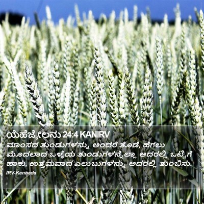 ಯೆಹೆಜ್ಕೇಲನು 24:4 KANIRV Bible Verse Image