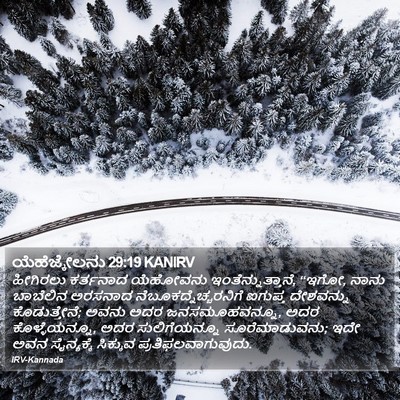 ಯೆಹೆಜ್ಕೇಲನು 29:19 KANIRV Bible Verse Image