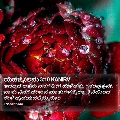 ಯೆಹೆಜ್ಕೇಲನು 3:10 KANIRV Bible Verse Image