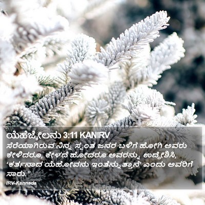 ಯೆಹೆಜ್ಕೇಲನು 3:11 KANIRV Bible Verse Image
