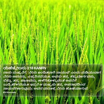 ಯೆಹೆಜ್ಕೇಲನು 3:18 KANIRV Bible Verse Image