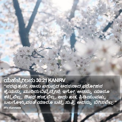 ಯೆಹೆಜ್ಕೇಲನು 30:21 KANIRV Bible Verse Image