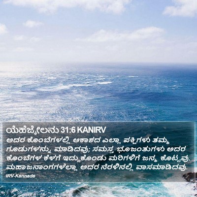 ಯೆಹೆಜ್ಕೇಲನು 31:6 KANIRV Bible Verse Image
