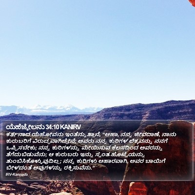 ಯೆಹೆಜ್ಕೇಲನು 34:10 KANIRV Bible Verse Image