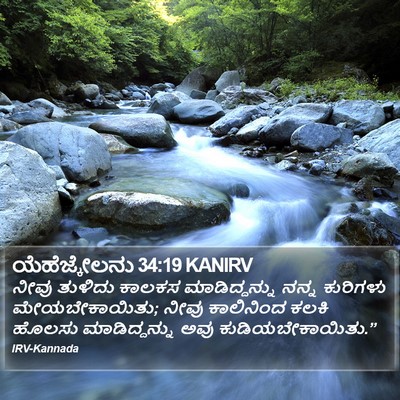 ಯೆಹೆಜ್ಕೇಲನು 34:19 KANIRV Bible Verse Image