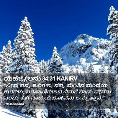 ಯೆಹೆಜ್ಕೇಲನು 34:31 KANIRV Bible Verse Image
