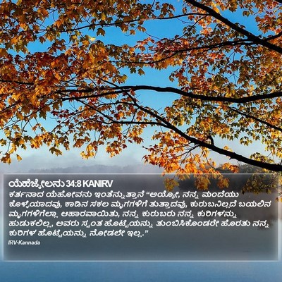 ಯೆಹೆಜ್ಕೇಲನು 34:8 KANIRV Bible Verse Image