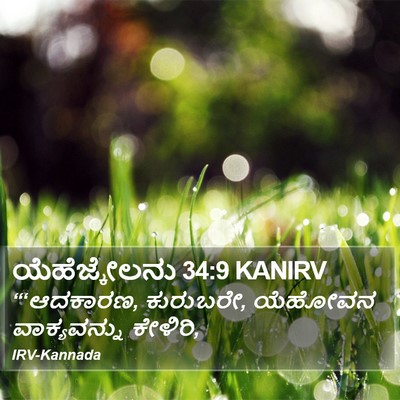 ಯೆಹೆಜ್ಕೇಲನು 34:9 KANIRV Bible Verse Image