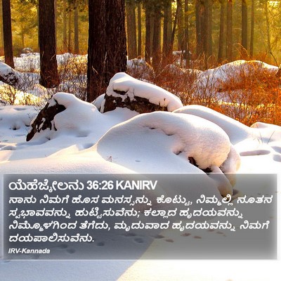 ಯೆಹೆಜ್ಕೇಲನು 36:26 KANIRV Bible Verse Image