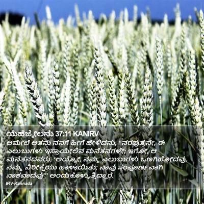 ಯೆಹೆಜ್ಕೇಲನು 37:11 KANIRV Bible Verse Image