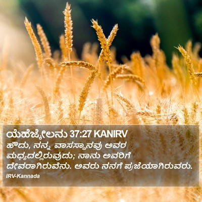 ಯೆಹೆಜ್ಕೇಲನು 37:27 KANIRV Bible Verse Image