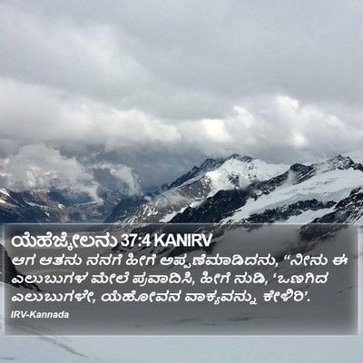 ಯೆಹೆಜ್ಕೇಲನು 37:4 KANIRV Bible Verse Image