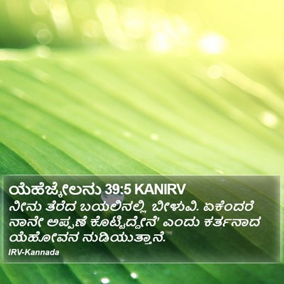 ಯೆಹೆಜ್ಕೇಲನು 39:5 KANIRV Bible Verse Image