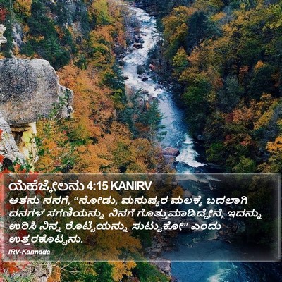 ಯೆಹೆಜ್ಕೇಲನು 4:15 KANIRV Bible Verse Image