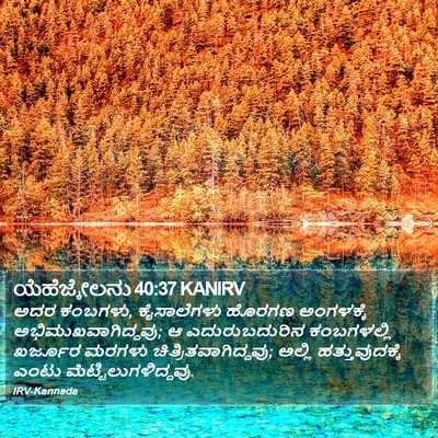 ಯೆಹೆಜ್ಕೇಲನು 40:37 KANIRV Bible Verse Image