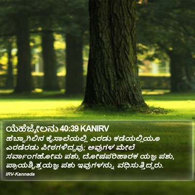 ಯೆಹೆಜ್ಕೇಲನು 40:39 KANIRV Bible Verse Image