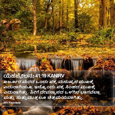 ಯೆಹೆಜ್ಕೇಲನು 41:19 KANIRV Bible Verse Image