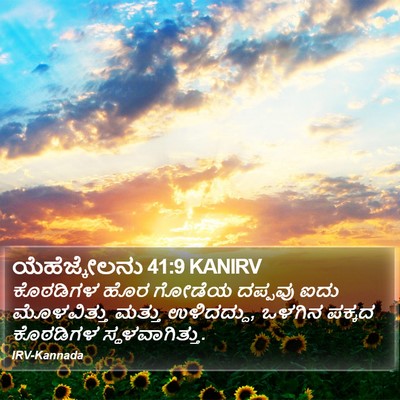 ಯೆಹೆಜ್ಕೇಲನು 41:9 KANIRV Bible Verse Image