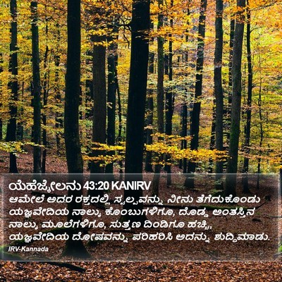 ಯೆಹೆಜ್ಕೇಲನು 43:20 KANIRV Bible Verse Image