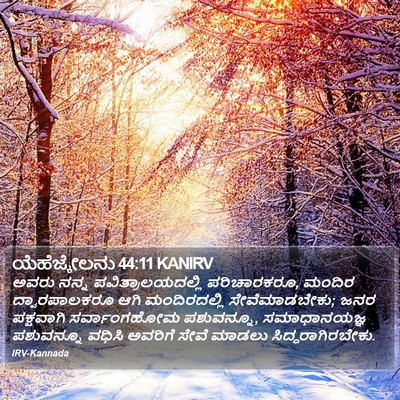 ಯೆಹೆಜ್ಕೇಲನು 44:11 KANIRV Bible Verse Image