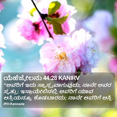 ಯೆಹೆಜ್ಕೇಲನು 44:28 KANIRV Bible Verse Image