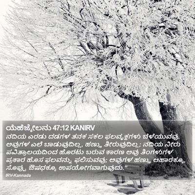 ಯೆಹೆಜ್ಕೇಲನು 47:12 KANIRV Bible Verse Image