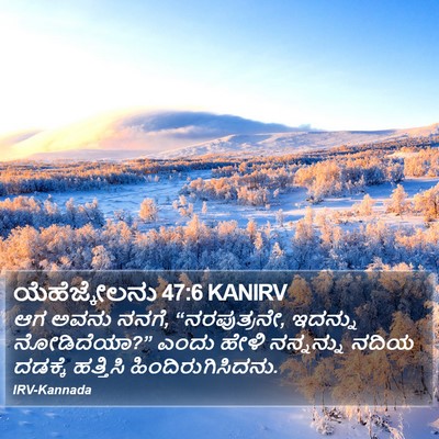 ಯೆಹೆಜ್ಕೇಲನು 47:6 KANIRV Bible Verse Image
