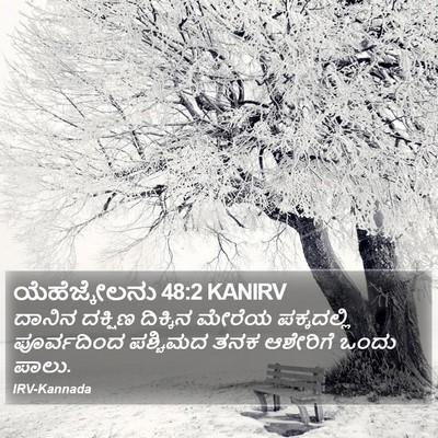 ಯೆಹೆಜ್ಕೇಲನು 48:2 KANIRV Bible Verse Image