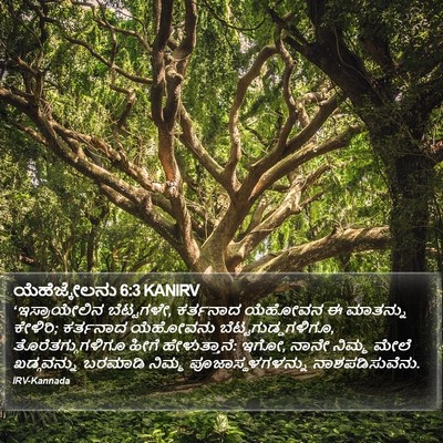 ಯೆಹೆಜ್ಕೇಲನು 6:3 KANIRV Bible Verse Image