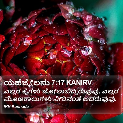 ಯೆಹೆಜ್ಕೇಲನು 7:17 KANIRV Bible Verse Image