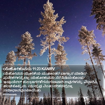 ಯೆಹೋಶುವನು 11:23 KANIRV Bible Verse Image
